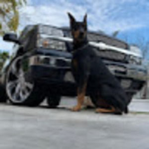 Meet your Posher, Jesse